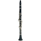 00717070028345 Lauren Clarinet W-case