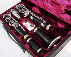 256663 Buffet Crampon Professional Conservatoire