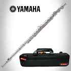 Yfl-222 889025102735 Yamaha Brand New