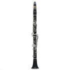 A15ody Selmer Paris Odyssee Model Clarinet Brand New 641064330322