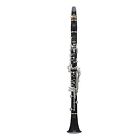 A16pr2 Selmer New Privilege A