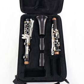 Backun 889052010973 Model Bclbqg-skge Q-series Professional Bb Clarinet Open Box