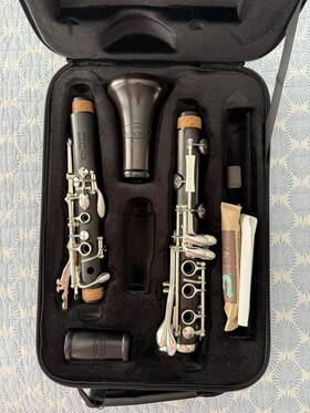 Pz-10022 Backun Prot G Bb Soprano Clarinet