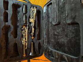 Q2-1637 Backun Pre-owned Q Series A Clarinet With Double Case And Lumi Re Barrels Bell