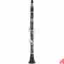 Bc1131g-2-0 Buffet Crampon R13 Green Line Professional Bb Clarinet With Silver Plated Keys 695121000543
