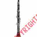 Bc1531-2-0-462801 Buffet Crampon R13 Professional Eb Clarinet With Silver Keys 0695121000697