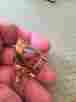 Bgl3 Goldplated Soprano Larinet Ligature Bg France Metal Tradition Model Bb Clarinet No Cap Demo Mint