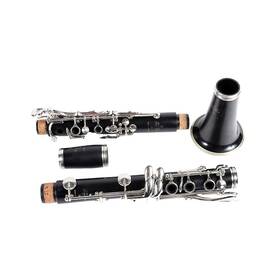 Buffet Crampon 197881375287 R13 Professional Bb Clarinet With Nickel-plated Keys Ob