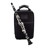 Cl-400 Jean Paul Usa Intermediate Clarinet 806802177250