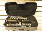 Cl1210 Antigua Xp Student Bb