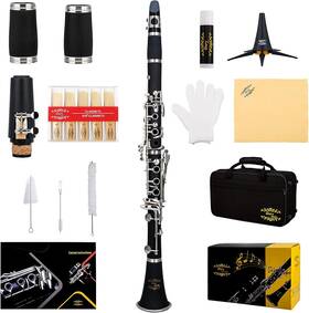Glory 313050684664 Gly-pbk Professional Ebonite Bb Clarinet With 10 Reeds Stand Hard Case