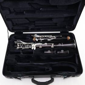 A16pr2ev Henri Selmer Paris Model Ftprivilege Evolutionft A Clarinet Sn S03879 Excellent