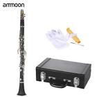 Jjn7008217413116fa Ammoon Hot Beginner Black 602747253178