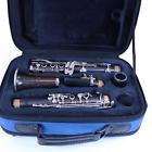 Lsa1170 L225n Leblanc Serenade Model Intermediate Clarinet Sn Display