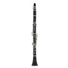 1400b Na Selmer Student Model 641064079139