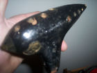 Ocarina Ewa