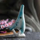 Sc Outlet 12 Hole Ice Crack Ocarina Ceramic Alto C Blue Instrument W Finger Chart Bag 691953047886