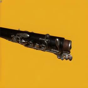 275579 Selmer Clarinet Parts Not Working
