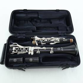 B16pr2ev Selmer Paris Model Ftprivilege Evolutionft Bb Clarinet Sn S04485 Open Box