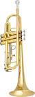 Tr2561lq Antigua Winds Used Vosi
