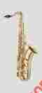 Ts1203lq Antigua Winds X P Series Bb Tenor Saxophone