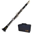 Wclgbk Clarinets Apprentice Series Bb Ensemble Simulated Wood 760459978007