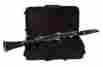Wi-801-c Palatino Bb Soprano Student Clarinet Outfit With Case
