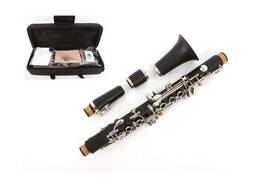 Wuqimusc 918984920174 Professional Clarinet Ebonite Wood Nickel Plated Keys With Barrels Reed Acces