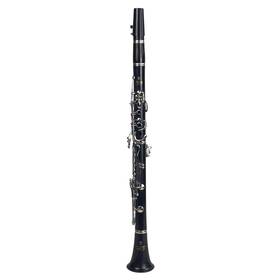 Advantagead11 Yamaha Advantage Ycl-200ad11 Clarinet With Hsc Used