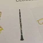 Blessing Bb Clarinet, Abs, Nickel Keys, Outfit BCL1287 Best Student. Fixed Price $400.00.