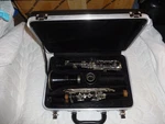 Selmer CL300 Clarinet Plastic Needs Work. Fixed Price $60.00.