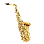 #deal Alto Saxophone Kit - Complete Beginner With Case. Fixed Price $229.00.