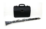 Hisonic Signature Series 2610 Bb Orchestra Clarinet With Case. Fixed Price $156.28.