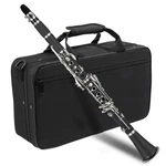 Ktaxon Professional 17KEY Hard Bakelite Clarinet Flat Manual Cloth Screwdriver. Fixed Price $79.99.