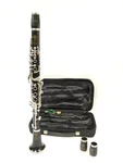 Selmer Paris Recital Bb Clarinet Serial #M8222. Fixed Price $2699.00.