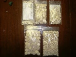 Clarinet Pads Assortment Pressed Felt Lot Of 200 Pcs Prestini.. Fixed Price $150.00.