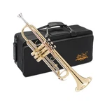Jean Paul TR-430 Intermediate Bb Trumpet Brass Lacquered With Rose Le.... Fixed Price $568.31.