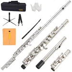 Vanphy Closed Hole 16 Keys Nickel-plated Flutes For Beginners Silver. Fixed Price $144.99.