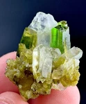 40 Carat Green Tourmaline Crystal On Quartz Specimen From Afghanistan. Fixed Price $40.00.