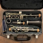 Yamaha 250 Bb Clarinet Black Plastic With Case, Mouthpiece, Reeds, Cork Grease. Fixed Price $299.99.