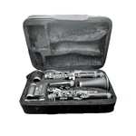 Cecilio Bb Student Clarinet Clean, Complete Set W/ Case & Reeds. Fixed Price $47.99.