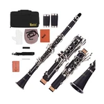 Clarinet Bb Flat 17 Keys Beginner Student Woodwind Instrument With 2.... Fixed Price $123.25.