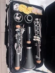 Allora ACL-250 Clarinet Hardly Used With Case, Amazing Condition. Fixed Price $155.50.