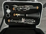 Etude Student Clarinet Model ECL-100 Standard (new). Fixed Price $210.00.