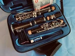 Pre Owned Selmer, Usa Signet 100 Clarinet - Perfekt Repad W/extras Ships Free. Fixed Price $895.00.