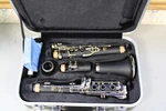 Wow! Mint Andreas Eastman ECL230 Bb Clarinet With Case Fast Free Ship!. Fixed Price $499.99.