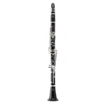 Buffet Crampon R13 Professional Clarinet With Silver Plated Keys. Fixed Price $5671.00.
