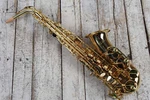F.e. Olds NAS110PC Saxophone Student Alto With Hardshell Case. Fixed Price $1615.94.