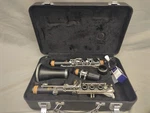 Andreas Eastman ECL230 Bb Clarinet Excellent Condition. Fixed Price $199.99.