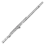 F.e. Olds NFL110PC Student Flute. Fixed Price $799.00.